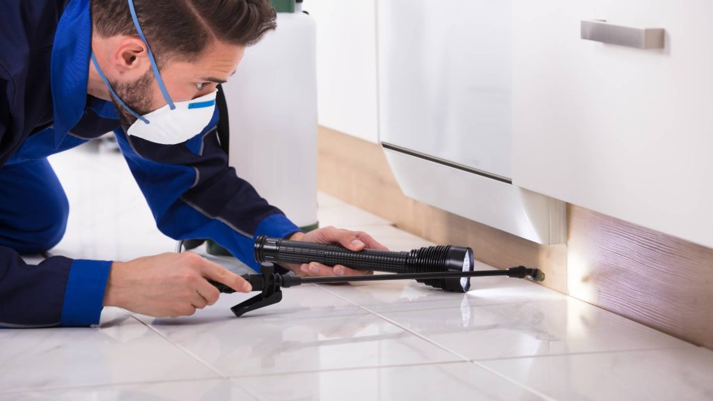 top 10 building & pest inspection companies in melbourne, victoria