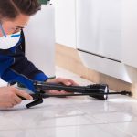 top 10 building & pest inspection companies in melbourne, victoria