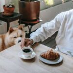 where can i eat in melbourne with pets