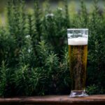 where can i find the best beer gardens in melbourne3